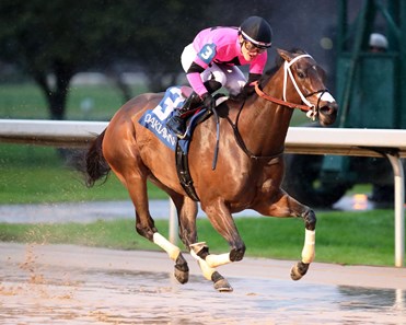 Lovely Ride - Horse Profile - BloodHorse