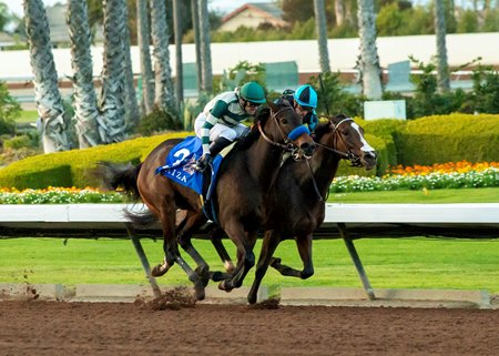 Faiza (outside) narrowly bests Pride of the Nile in the Starlet Stakes at Los Alamitos Race Course