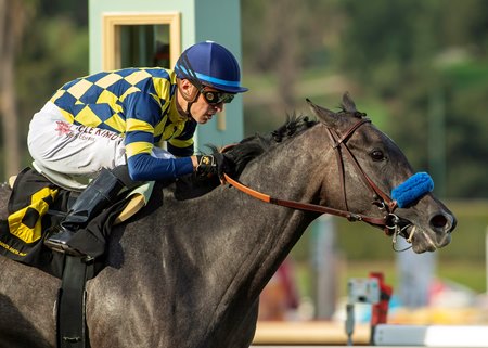 Fun to Dream wins the 2022 La Brea Stakes at Santa Anita Park