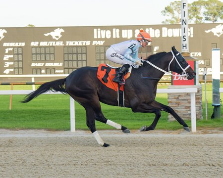 Super Chow wins the Inaugural Stakes at Tampa Bay Downs