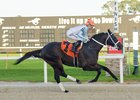 Super Chow - The Inaugural Stakes - 120322                       