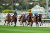 Dicey Mo Chara (GB) and jockey Juan Hernandez (red silks, cap) win the Grade II $200,000 San Gabriel Stakes Monday, December 26, 2022 on opening day at Santa Anita Park, Arcadia, CA.
Benoit Photo