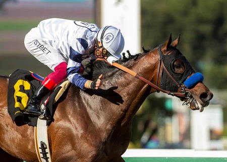 Country Grammer wins the San Antonio Stakes at Santa Anita Park