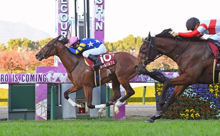 All Parfait defeats Danon Touchdown in the Daily Hai Nisai Stakes at Hanshin Racecourse