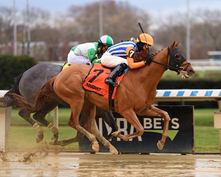 Dubyuhnell inches clear late from Arctic Arrogance to win the Remsen Stakes at Aqueduct Racetrack