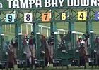 The gate from which Cash Call Kitten (#6) starts does not open simultaneously with the others in third race Nov. 25 at Tampa Bay Downs