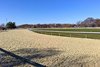 The renovated pony track at Belmont Park with a synthetic Tapeta surface.