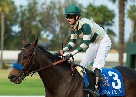Faiza wins the Starlet Stakes at Los Alamitos Race Course