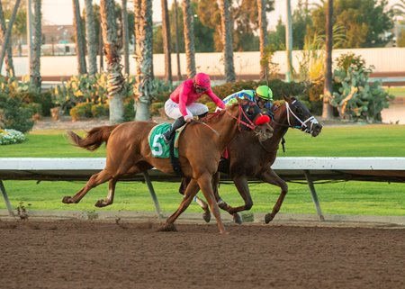 Giver Not a Taker (inside) narrowly defeats Crypto Ride in the King Glorious Stakes at Los Alamitos Race Course 