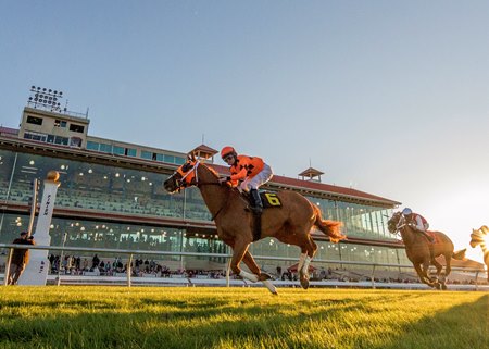 Spooky Channel wins the Buddy Diliberto Memorial Stakes at Fair Grounds