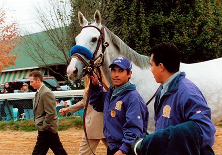 Gander in the walkover before the 2000 Breeders' Cup Classic at Churchill Downs