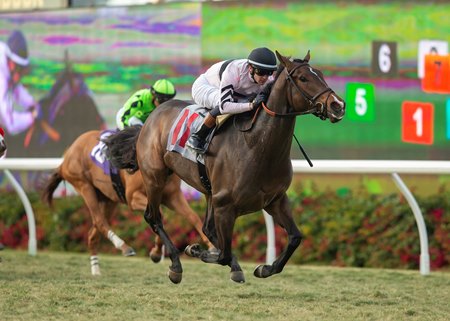 Liguria rallies to win the Jimmy Durante Stakes at Del Mar 