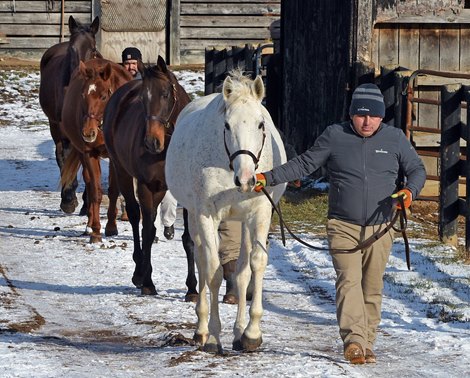 Survey Finds 31,000 Equine Operations in Kentucky