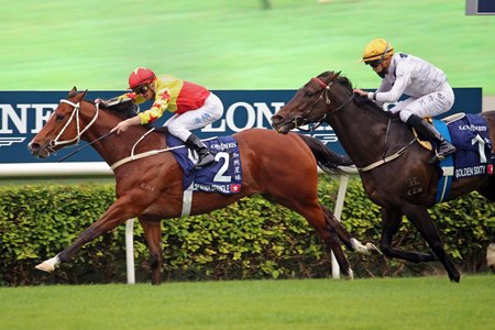 California Spangle wins the Hong Kong Mile at Sha Tin Racecourse