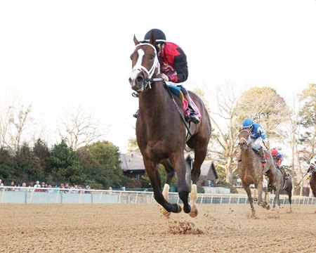 Victory Formation wins the Smarty Jones Stakes on Sunday, January 1, 2023 at Oaklawn Park