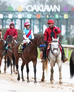 Arabian Knight - Horse Profile - BloodHorse