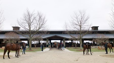 The four-session sale begins Jan. 8 in Lexington