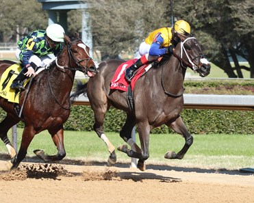 Adaline Julia - Horse Profile - BloodHorse