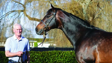 Sir Patrick Hogan with his stallion Tavistock