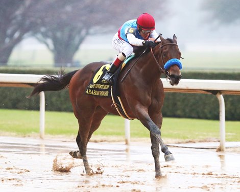 Undefeated Arabian Knight Off Kentucky Derby Trail