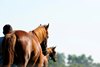 walking yearlings
Scenes of mares and foals and yearlings being prepped and walked at Nursery Place farm near Lexington, Ky., on June 23, 2009.
NurseryPlace1 image204
Photo by Anne M. Eberhardt
