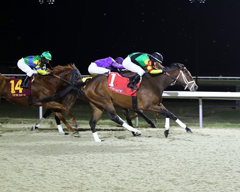 Baby No Worries Looks For a Win on Grass in Royal North - Vimarsana News