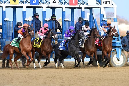 Racing at Aqueduct Racetrack