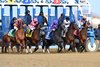 The start of the 2023 Busanda Stakes at Aqueduct, won by Occult (#2)
