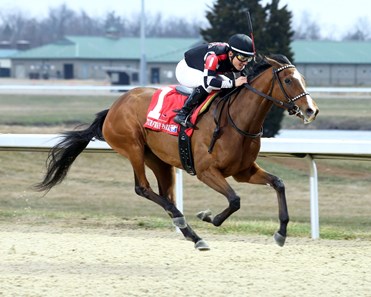 Rising Heat - Horse Profile - BloodHorse