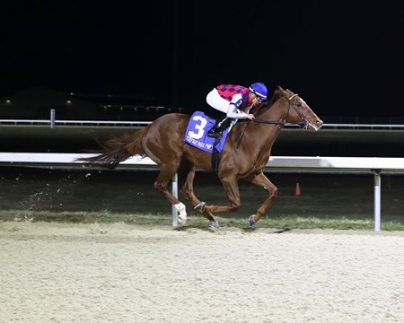 Funtastic Again wins the Leonatus Stakes at Turfway Park