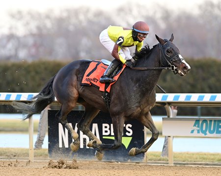 Law Professor wins the Queens County Stakes at Aqueduct Racetrack