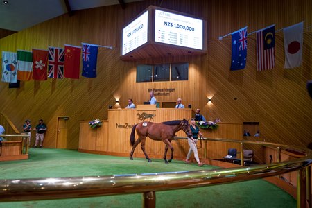 The Fastnet Rock filly consigned as Lot 586 in the ring at the NZB Karaka Yearling Sale