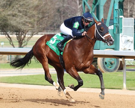 Verifying wins a Jan. 14 allowance optional claiming race at Oaklawn Park