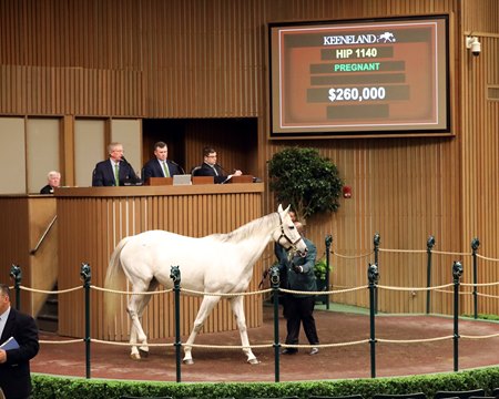 Carella consigned as Hip 1140 in the ring at the Keeneland January Sale