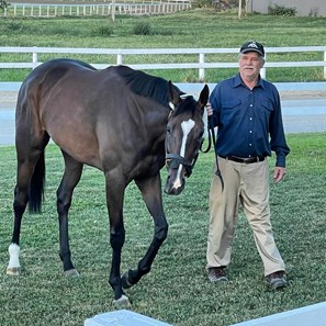 Millie Girl - Horse Profile - BloodHorse