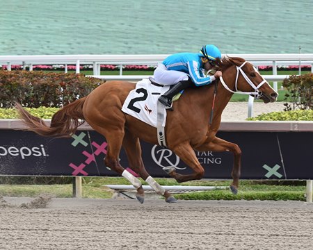 Mage secures victory in his first career start, a maiden special weight race Jan. 28 at Gulfstream Park