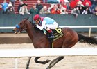 Arabian Knight wins the Southwest Stakes on Saturday, January 28, 2023 at Oaklawn Park