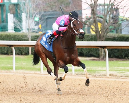 Lovely Ride wins the Pippin Stakes at Oaklawn Park