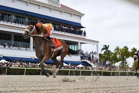 Maryquitecontrary wins the Inside Information Stakes at Gulfstream Park