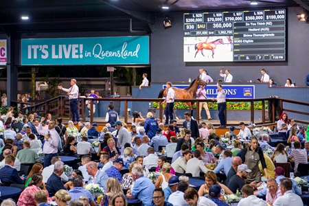 The packed pavilion at Magic Millions during the Gold Coast sale