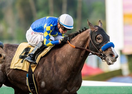 National Treasure wins Preakness Stakes, denying Mage Triple Crown bid with Belmont  Stakes looming