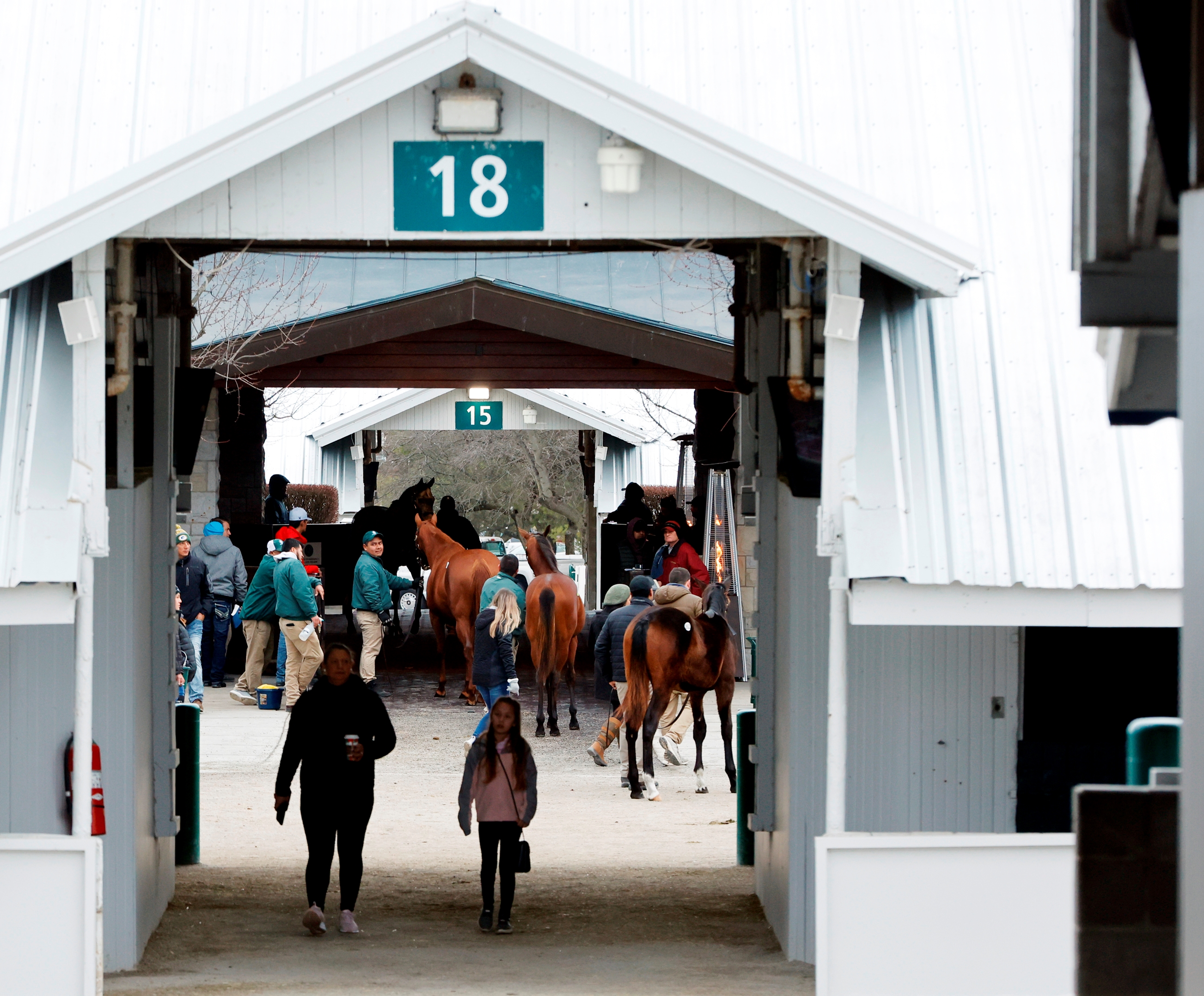 Keeneland Kicks Off 2024 With January Sale BloodHorse   Ff98d0a0e08945c0ad34c3fd4c174d33 