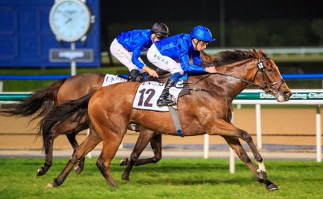 With The Moonlight Features in Dubai World Cup Carnival