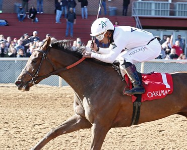 Queen Horse Profile BloodHorse