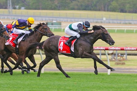 Little Brose takes the Blue Diamond Stakes at Sandown Racecourse