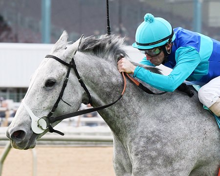 Sunlit Song wins 2023 Houston Turf Stakes at Sam Houston
