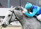 Sunlit Song wins 2023 Houston Turf Stakes at Sam Houston