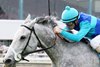 Sunlit Song wins 2023 Houston Turf Stakes at Sam Houston