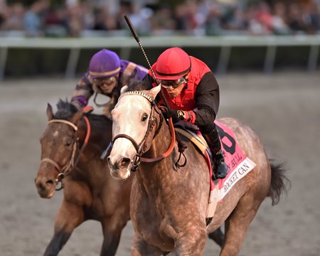 Rocket Can wins the Holy Bull Stakes at Gulfstream Park