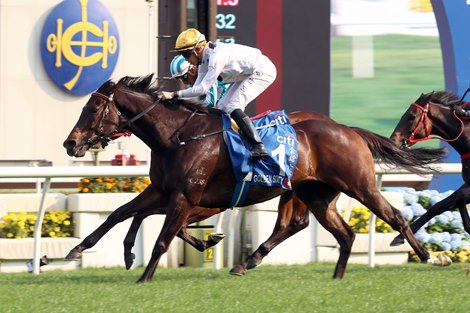Golden Sixty Tops World’s Best Racehorse Rankings Golden Sixty Tops World’s Best Racehorse Rankings